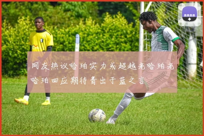 网友热议哈珀实力或超越老哈珀老哈珀回应期待青出于蓝之言